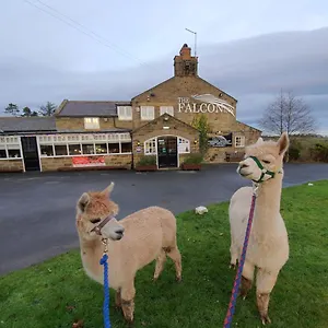 The Falcon Hotel